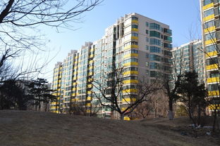 華紡易城租房,2400元 月,急租朝陽大悅城 青年路地鐵口 十里堡附近華紡易城精裝大臥陽臺 北京租房 推推99北京房產(chǎn)網(wǎng)