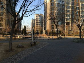 雍景天成精裝大二居出租，月租9800元，花園式小區品質生活